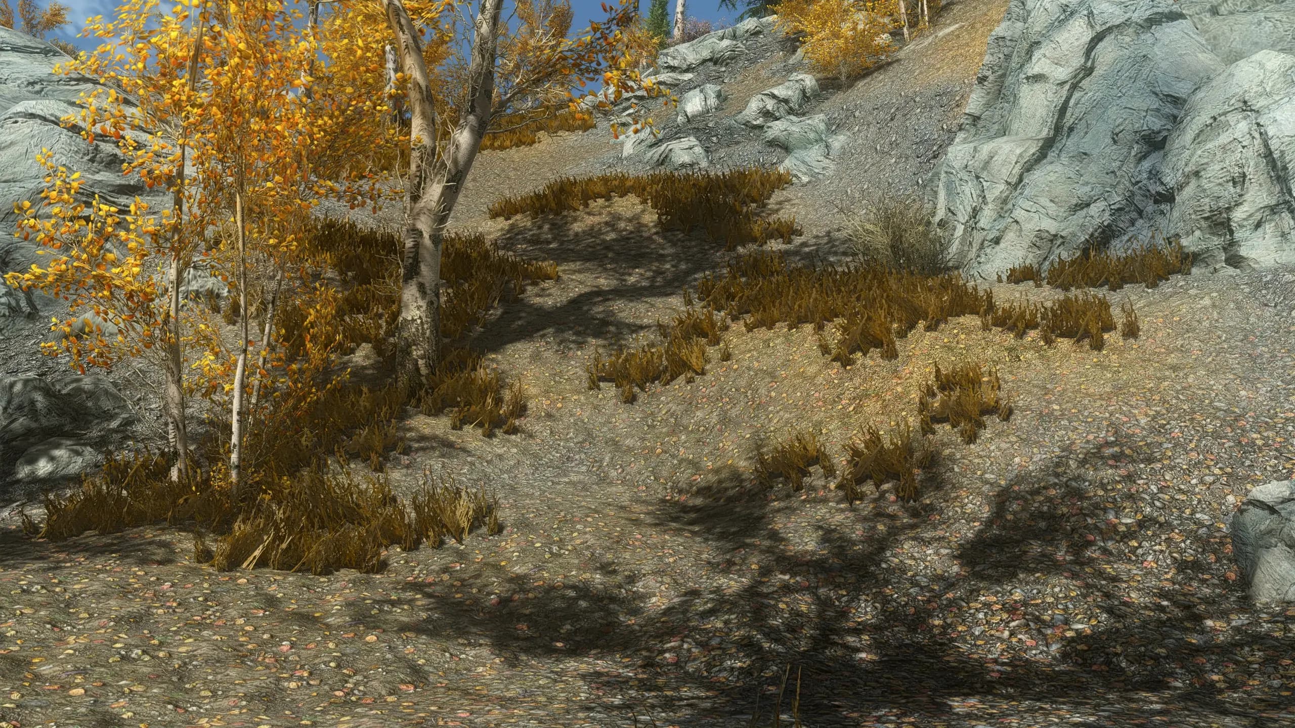 Vanilla Complex Parallax Series