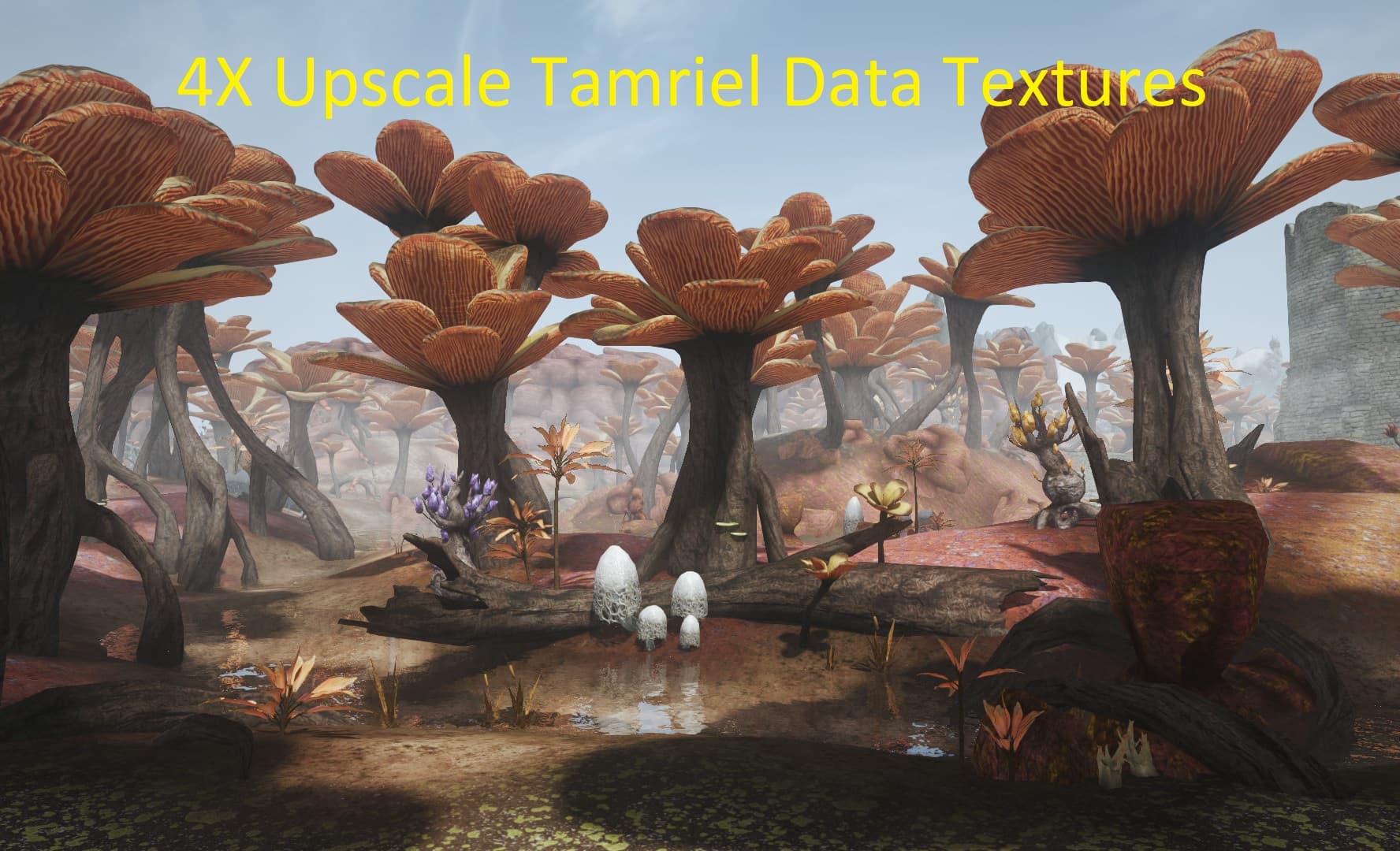 4X Upscale Tamriel Data Textures